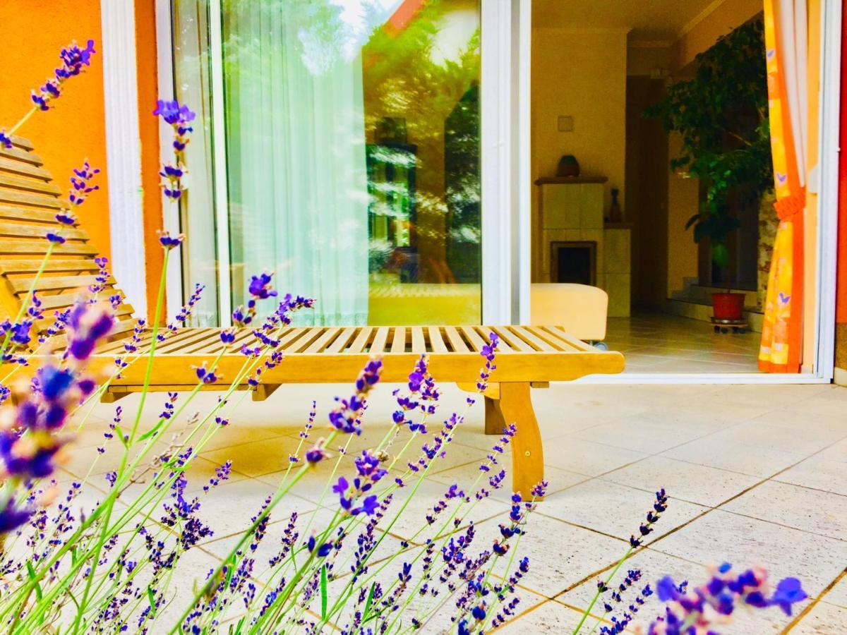 Apollo Inn แวแลนแซ ภายนอก รูปภาพ