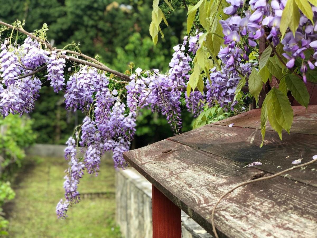 Apollo Inn แวแลนแซ ภายนอก รูปภาพ